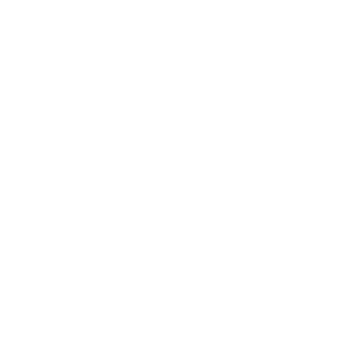 PARTNERS IDENTITY